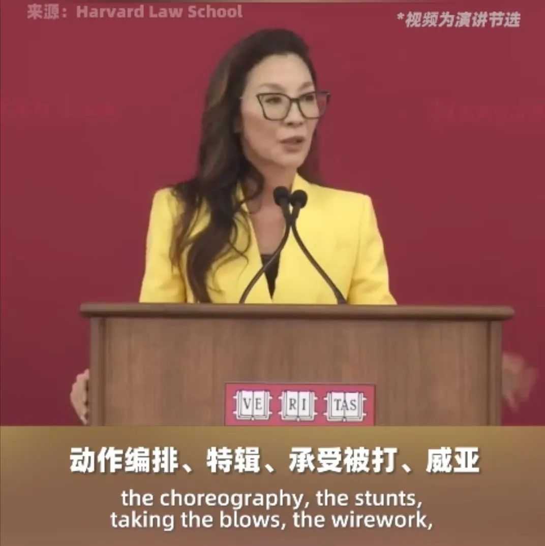 described_describe的名词_described中文翻译