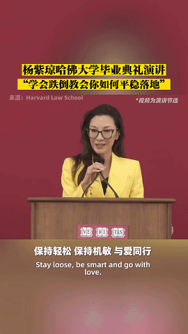 described_describe的名词_described中文翻译