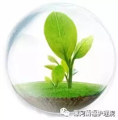 福寿绵长的意思是什么_福寿绵长下一句是什么_福寿绵长