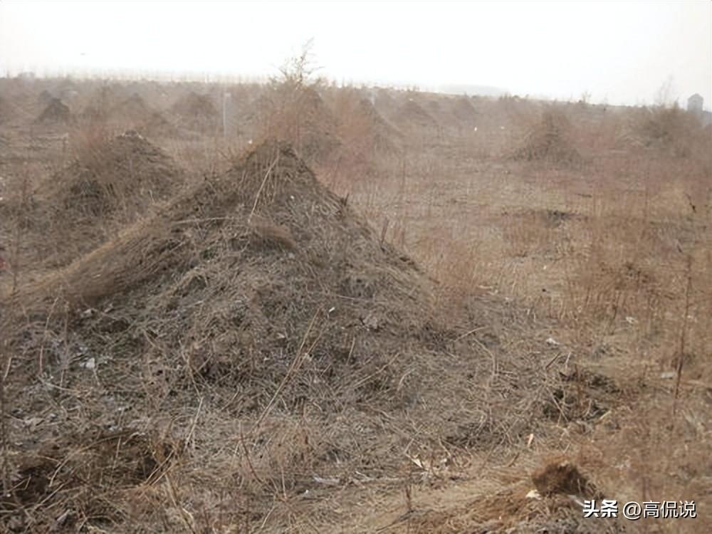 子宫内膜异位症_子都_子路曾公西华侍坐原文及翻译