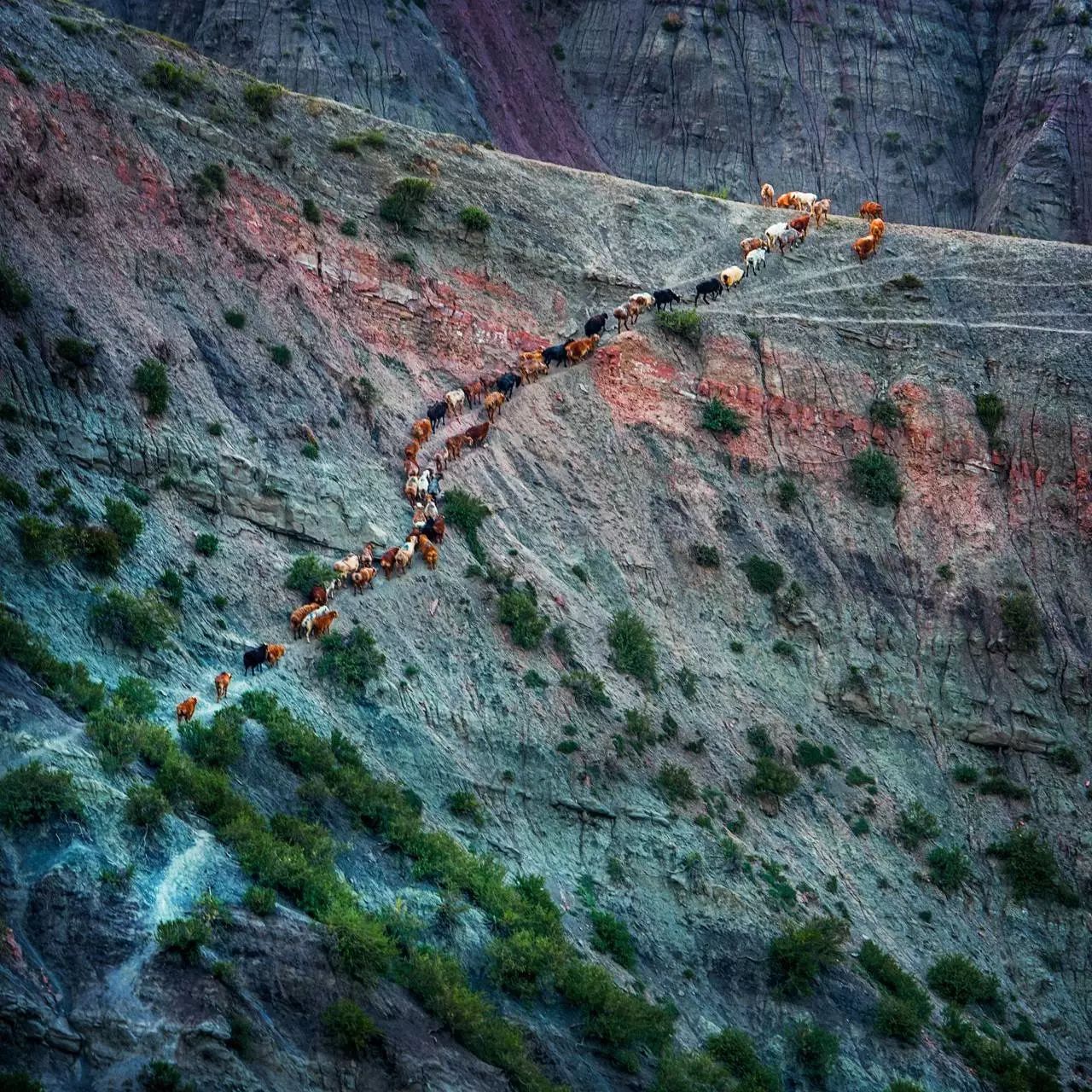 逢山开路是不是成语_逢山开路下一句_逢山开路