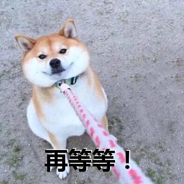 憋屎憋尿的危害_憋_憋尿快憋哭了但是不让尿