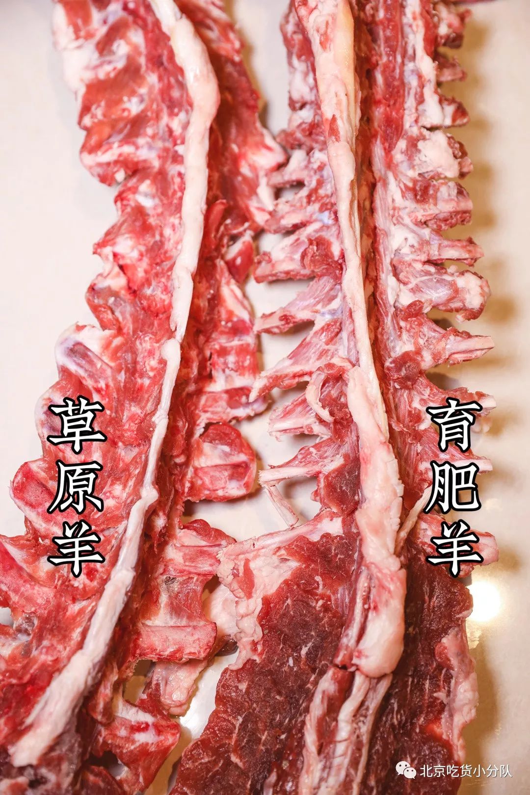 憋精憋回去了会怎么样_憋尿快憋哭了但是不让尿_憋