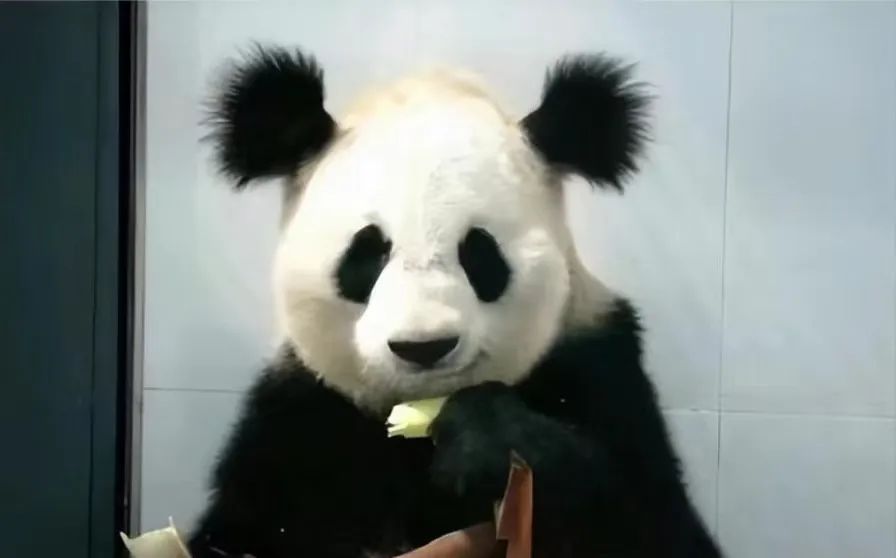 2024年是不是闰月年_月年2023年_2023年4月29日