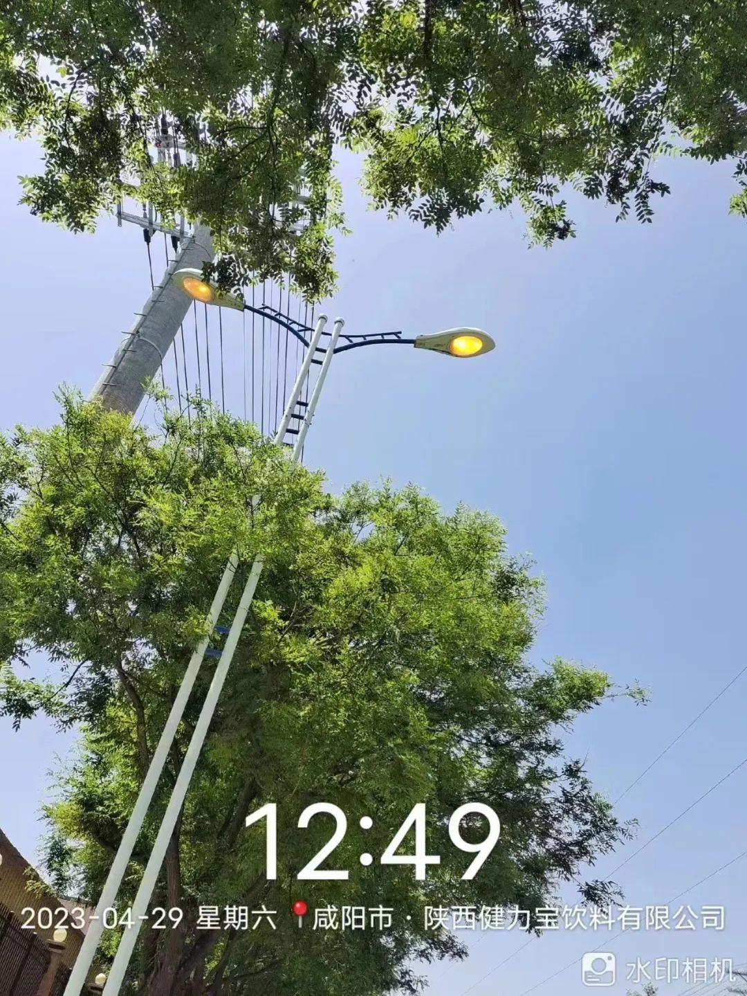 2023年4月29日_2024年是不是闰月年_外国日期怎么看日月年