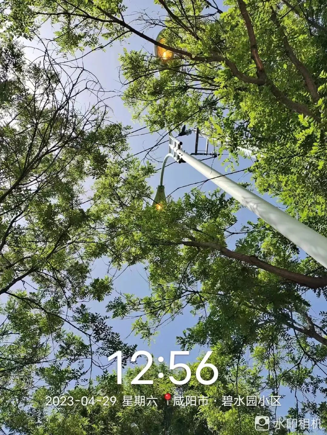 2023年4月29日_外国日期怎么看日月年_2024年是不是闰月年
