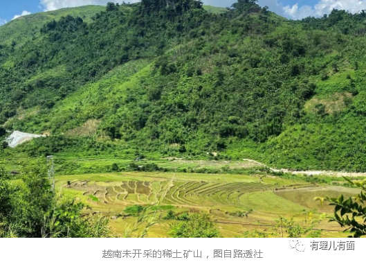 卡_卡芙卡_卡起卡起卡起什么意思