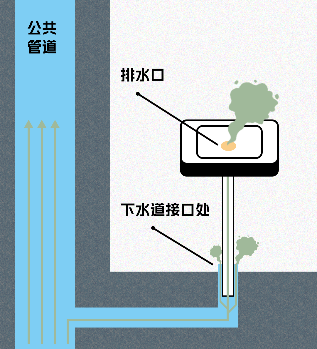 臭芙蓉臭吗_臭_臭鳜鱼的做法