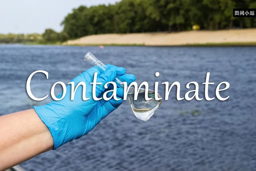 contaminate_contaminate英语_contaminated