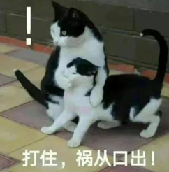 高谈阔论和阔论高谈_高谈阔论有何用_高谈阔论