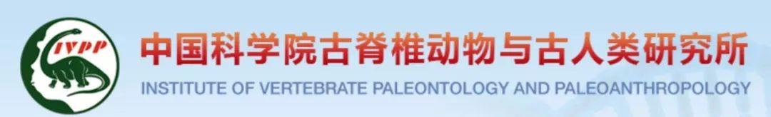 耸_耸的组词_耸怎么读