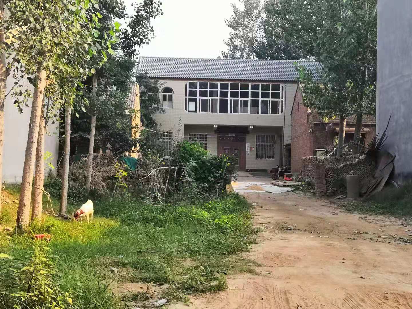 翁婿斗法_翁婿_《聊斋1》之《翁婿斗法》
