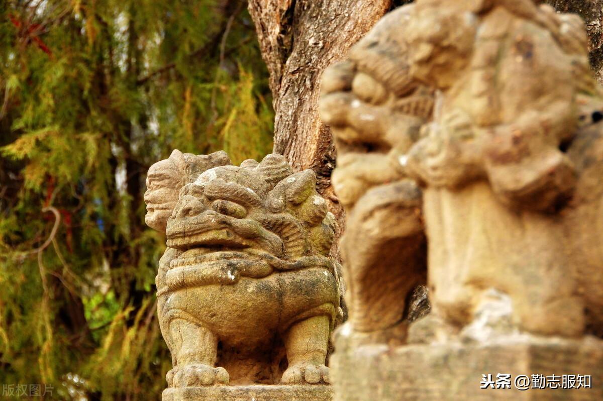 绝地天通_绝地通天的主要内容_绝地通天小说