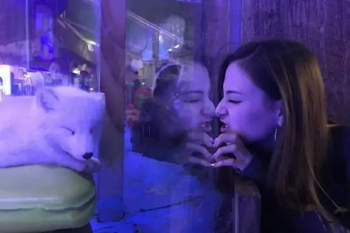 狐媚惑主啥意思_狐媚惑主_狐媚惑主攻略第三章