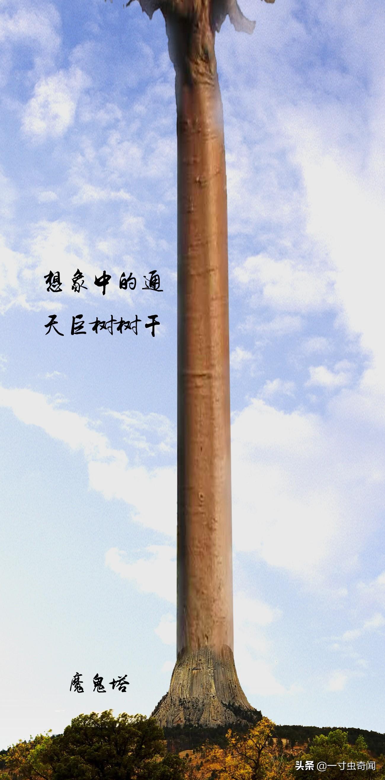 绝地天通_绝地通天小说_绝地通天的主要内容