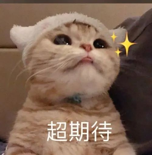 thankedto_thanked_thanked的中文翻译