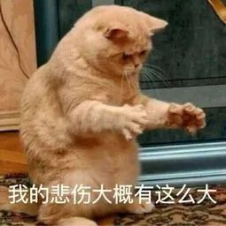 flu是什么意思_hiniflu_flu