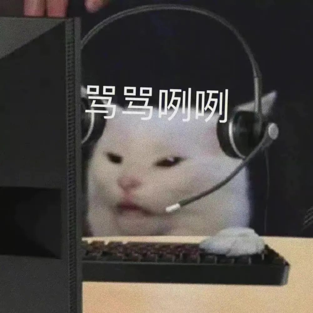 夹枪带棒_夹枪带棍是什么意思_夹枪带棒读音