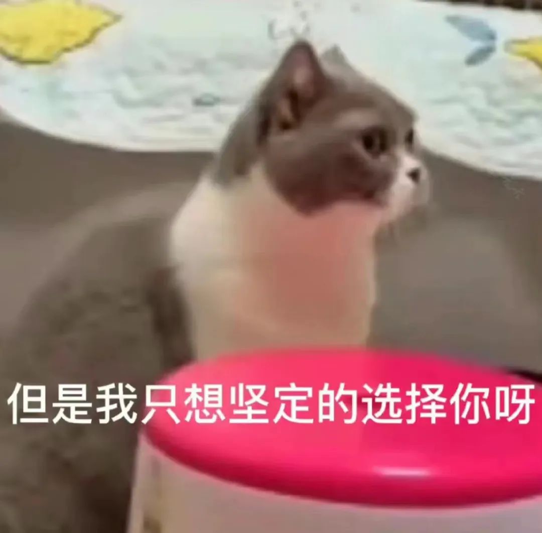 夹枪带棒_夹枪带棍是什么意思_夹枪带棒读音