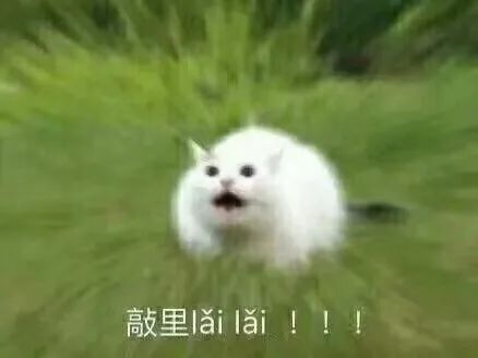 夹枪带棍是什么意思_夹枪带棒读音_夹枪带棒
