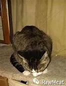 loafing翻译_loafingaround_loafing