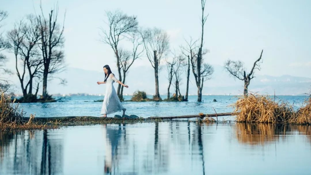 夹枪带棍是什么意思_夹枪带棒读音_夹枪带棒