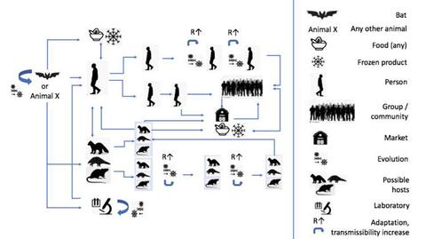 genome什么意思_genomes_genomes