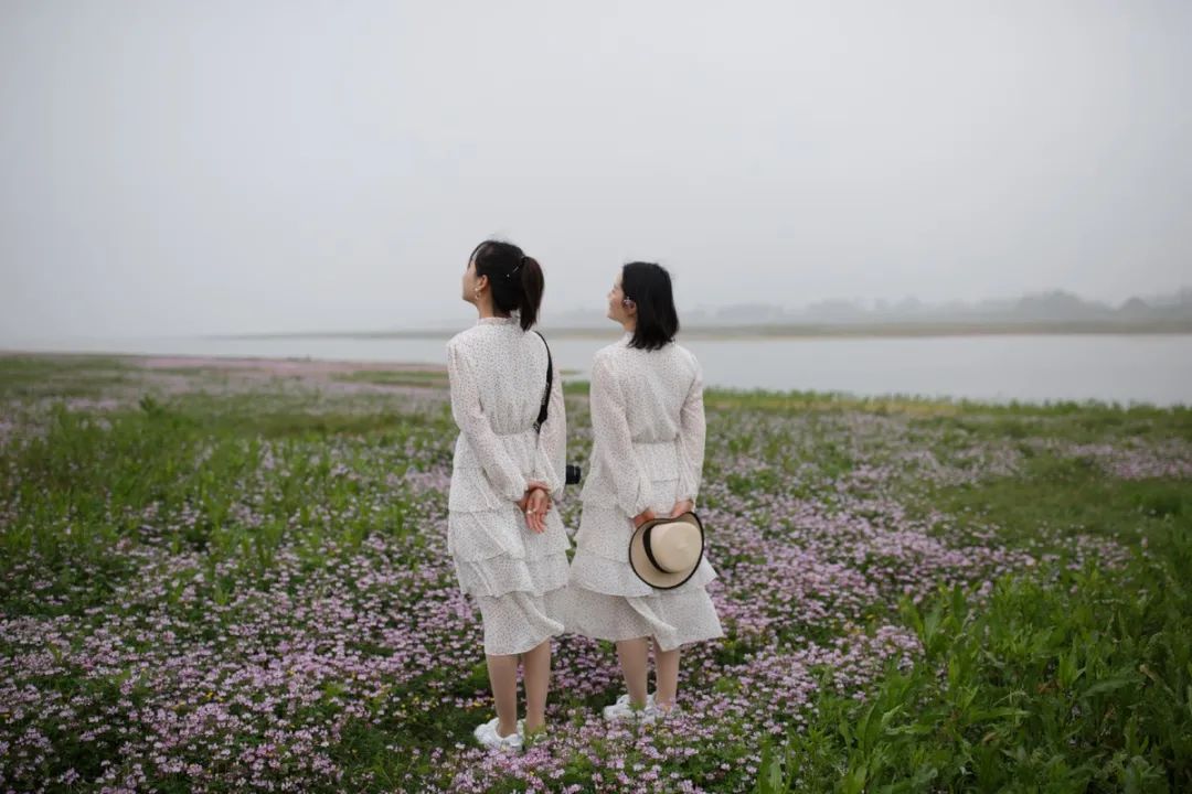 夹枪带棒读音_夹枪带棒_夹枪带棍是什么意思