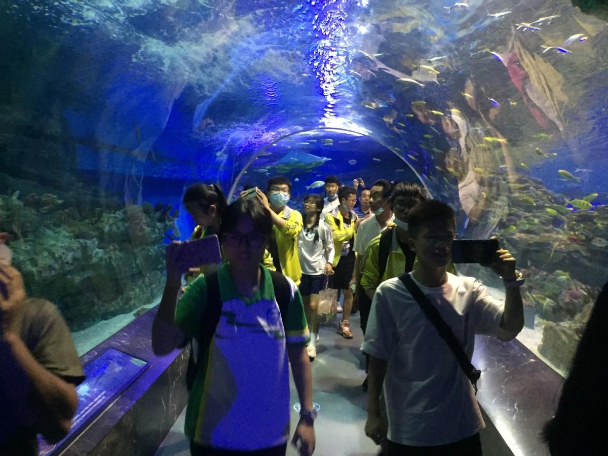 海洋探索世界_探索海洋世界的奥秘_探秘海洋世界
