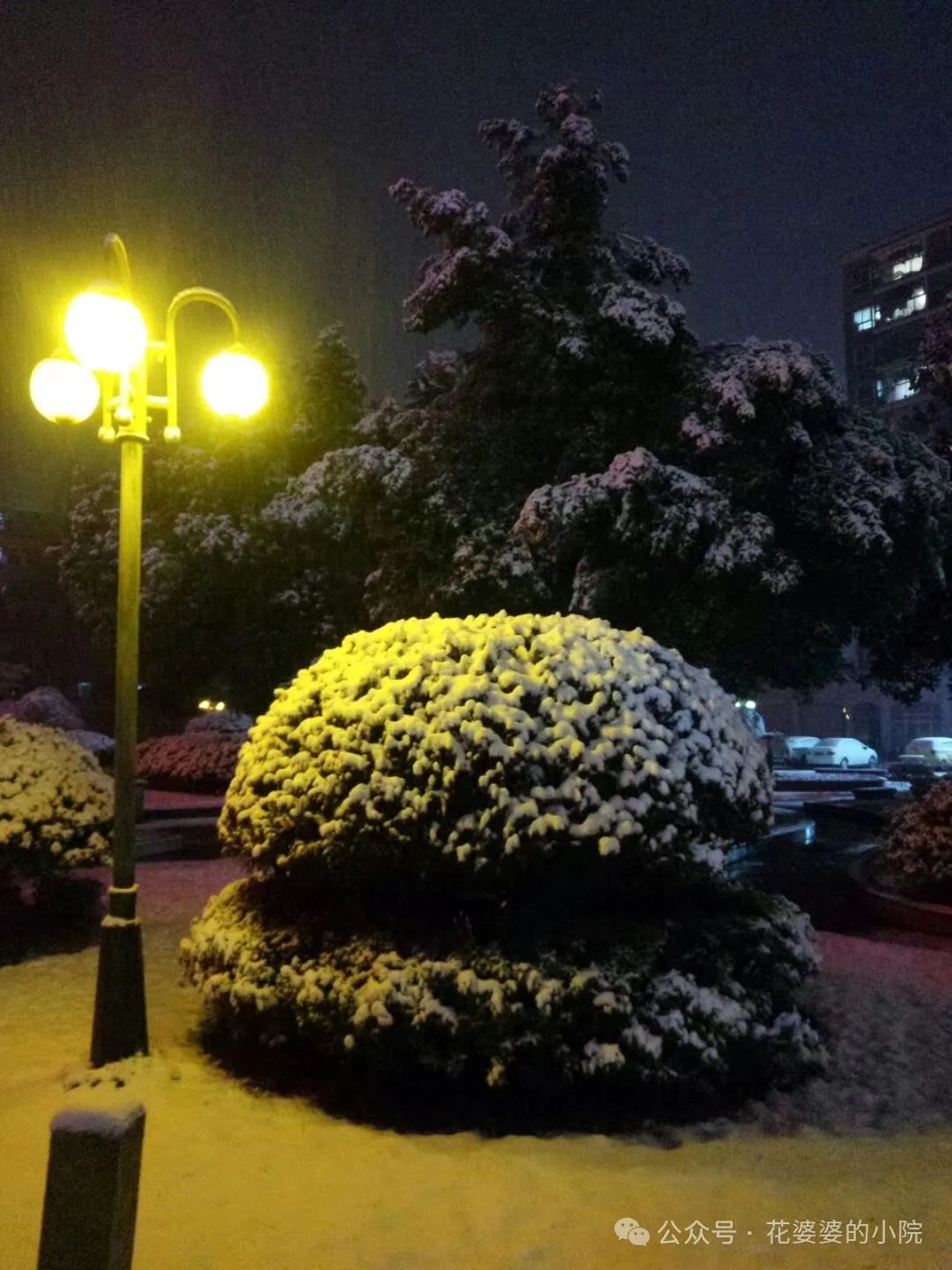身陷泥潭不能自拔_不能自拔_梦见自己深陷泥潭不能自拔