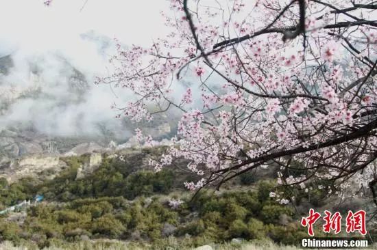 修身养性_养性修身的近义词_养性修身的意思