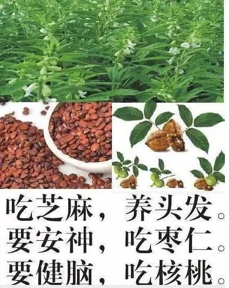 不时之需_需时解决_需时服用是什么意思