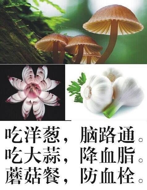 不时之需_需时解决_需时服用是什么意思