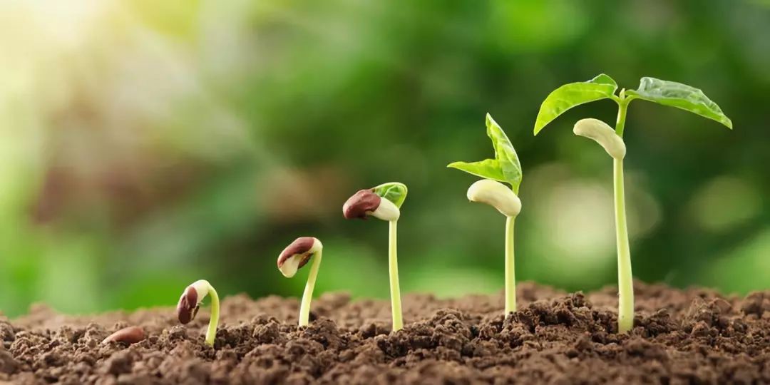 aeratedspot_aeratedbulk_aerated