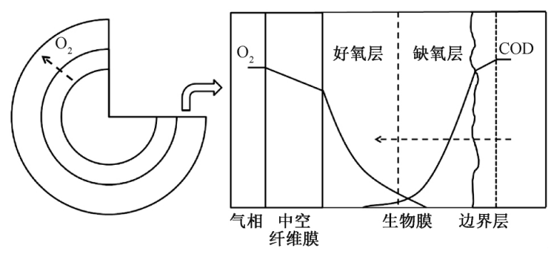 aeratedspot_aeratedbulk_aerated