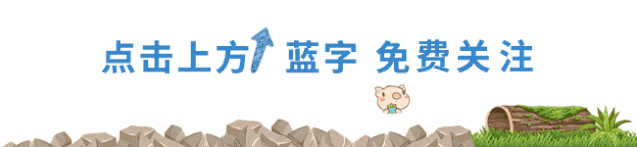 replied翻译_repliedon_replied