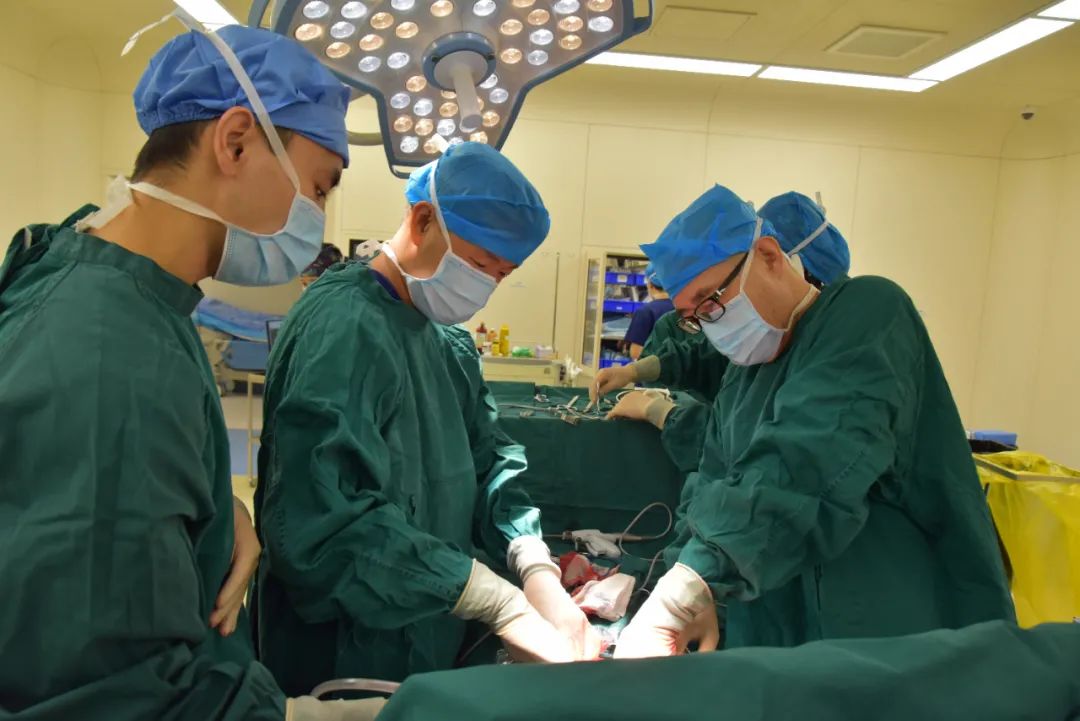 心腹大患意思_心腹大患_心腹大患猜生肖