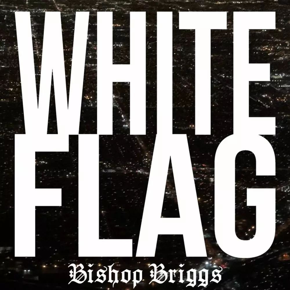 briggs是什么牌子_briggs怎么读_briggs