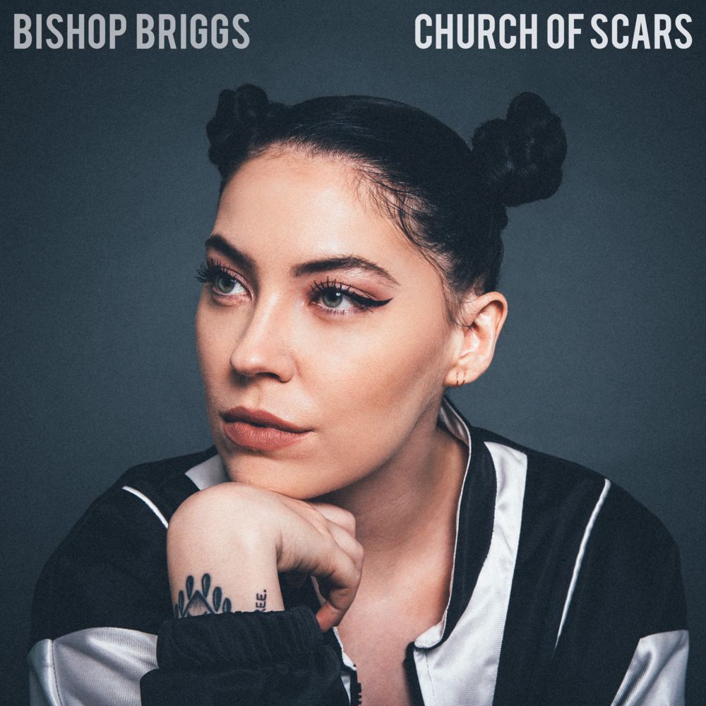 briggs怎么读_briggs是什么牌子_briggs