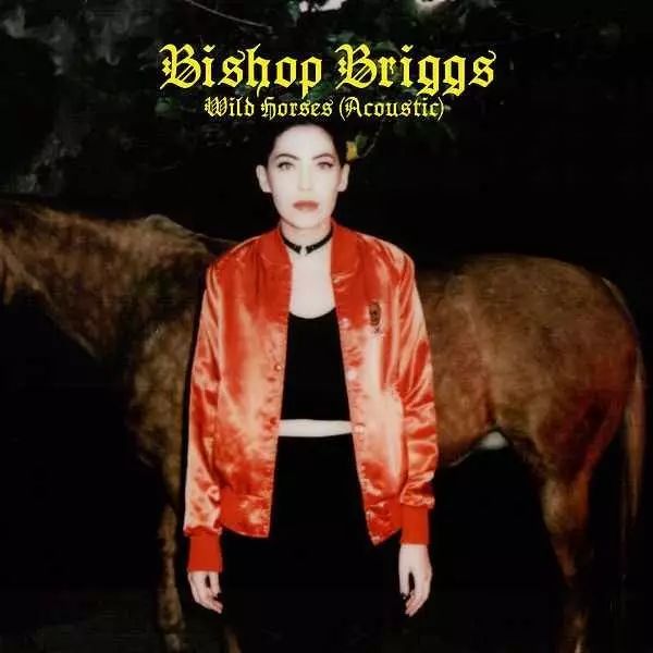 briggs是什么牌子_briggs_briggs&riley官网