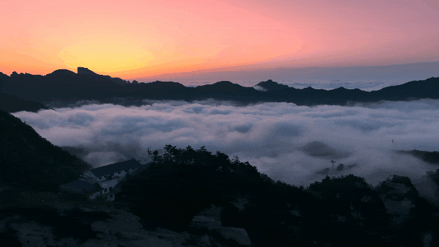 爬_做梦爬梯子爬不上去_爬组词