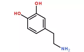 光阴似箭的箭_光阴似箭全诗_光阴似箭