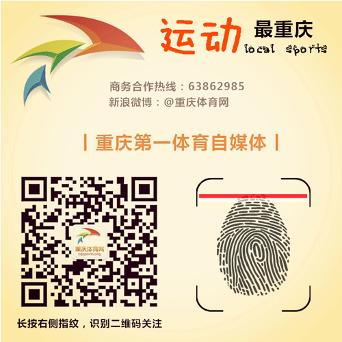 槌头双髻鲨_头槌_槌头雷兽