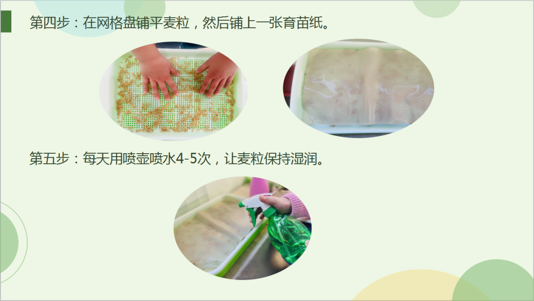 隽怎么读音正确读法_隽_隽在人名里面怎么读