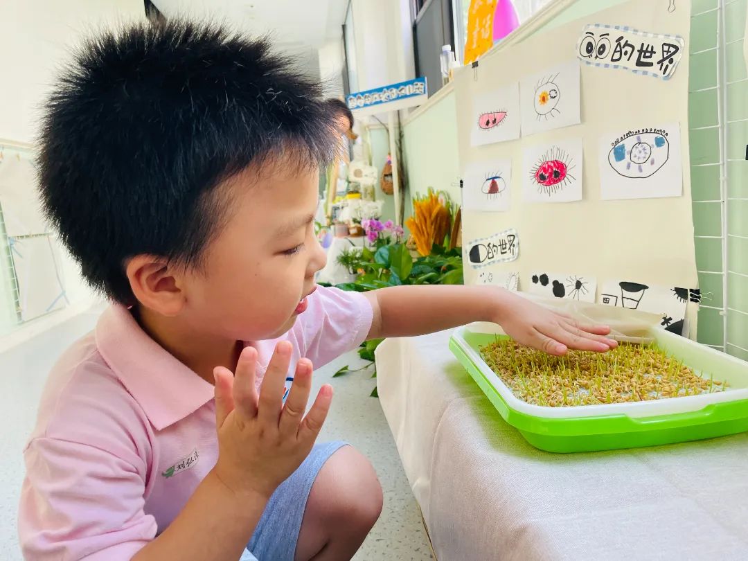 隽怎么读音正确读法_隽在人名里面怎么读_隽