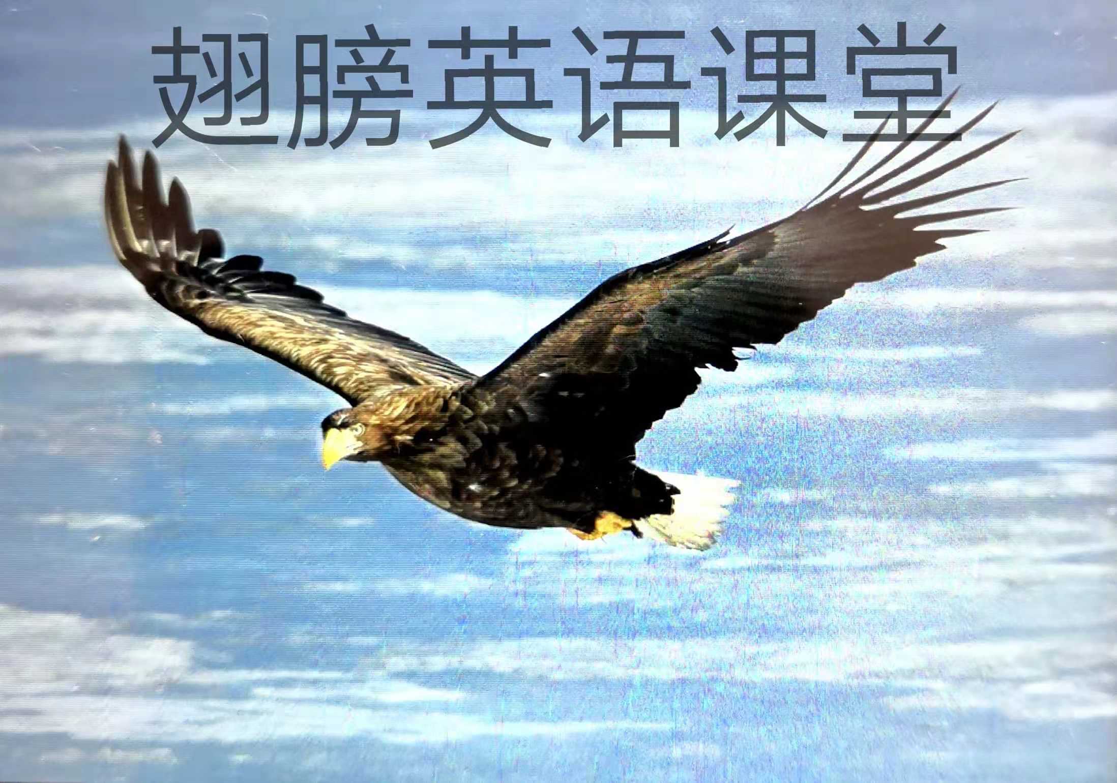 grasped_graspedat_grasped什么意思