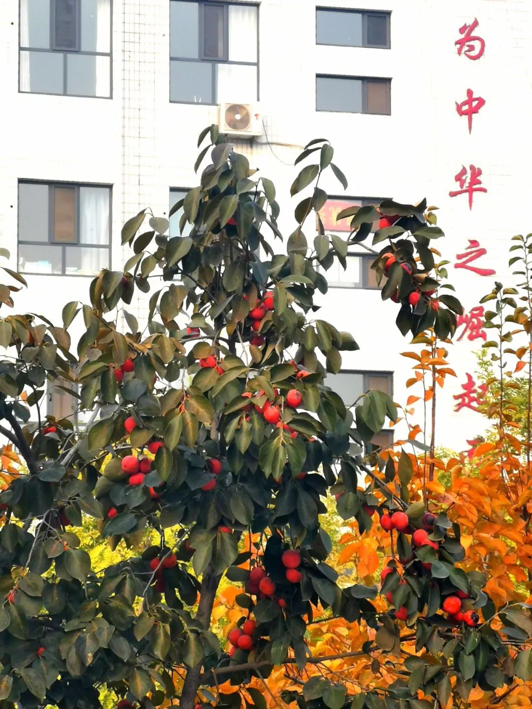 卑以自牧_卑以自牧_卑以自牧