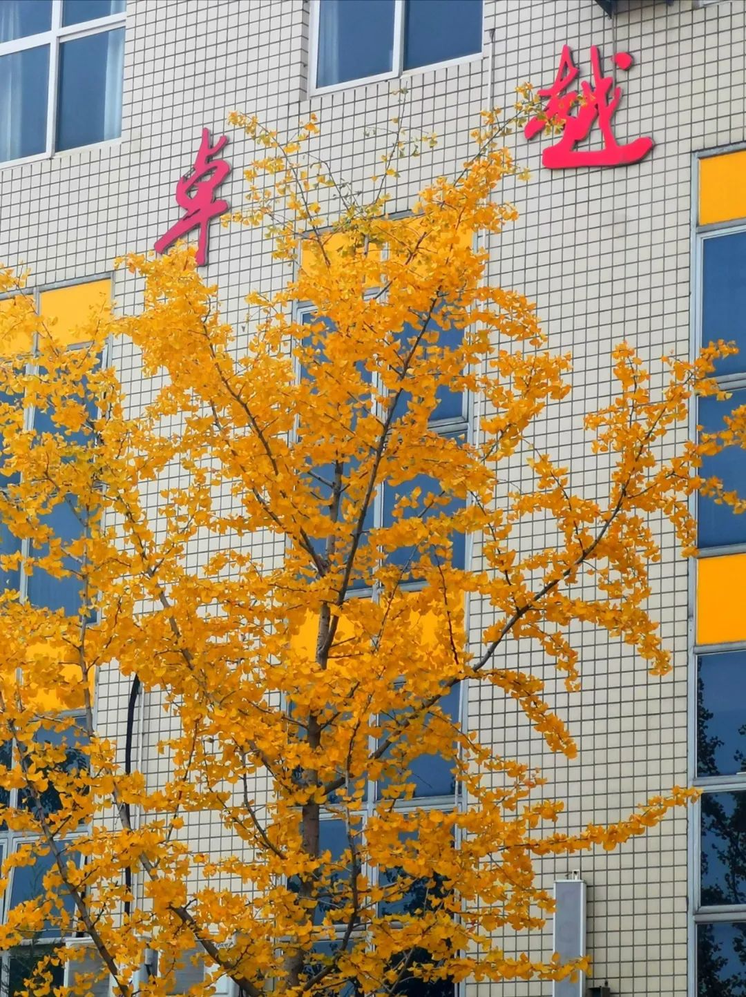 卑以自牧_卑以自牧_卑以自牧