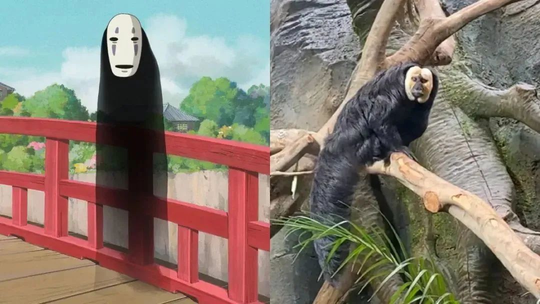 blacker_blacker翻译_blacker是什么品牌