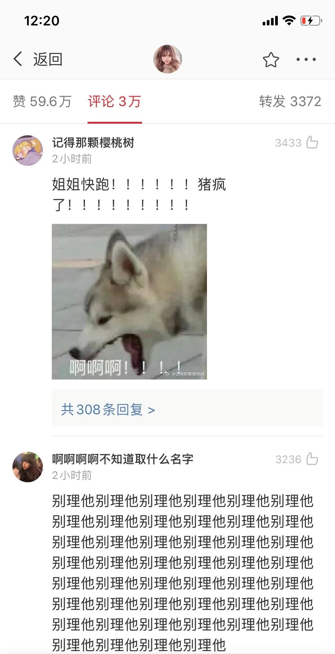 舍得作文400字400字_字的笔顺_千字